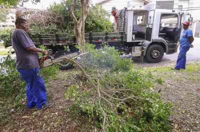 Equipes executam mais de 280 serviços de poda e supressão de árvores