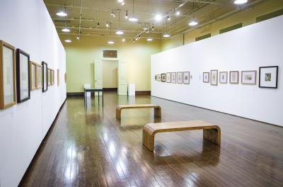 pinacoteca aldo locatelli