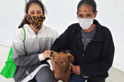 Usav registra procura por adoção de animais mesmo com pandemia