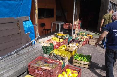 Fiscalização apreende mais de uma tonelada de alimentos vendidos por ambulantes ilegais no Centro