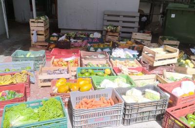 Entidade social recebe frutas e verduras apreendidas em ação contra comércio ambulante ilegal