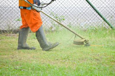 Prefeitura divulga serviços de corte de grama e limpeza de praças 