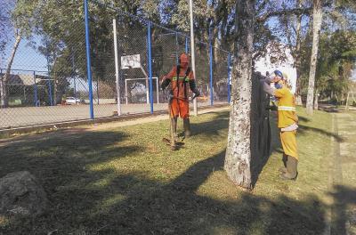 Prefeitura divulga serviços de corte de grama e limpeza de praças 