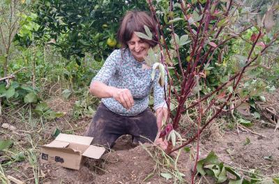 Semana Cidade Limpa: DMLU e Horta Comunitária Lomba do Pinheiro estabelecem parceria