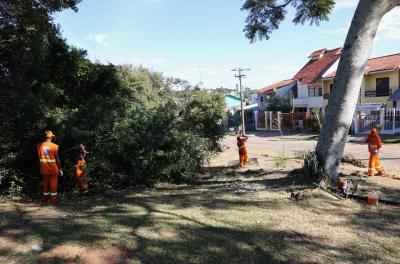 Prefeitura divulga serviços de corte de grama e limpeza de praças 