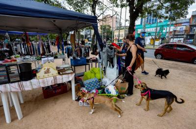 Domingo é dia de Brechocão no Parque Farroupilha