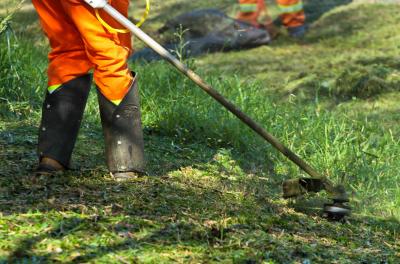 Prefeitura divulga serviços de corte de grama e limpeza de praças 