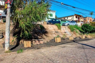 DMLU revitaliza foco de lixo no bairro Camaquã