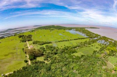 Fazenda do Arado