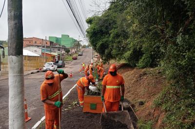 DMLU retira quatro toneladas de foco no bairro Agronomia