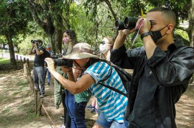 Observadores atentos para identificar 16 espécies de pássado