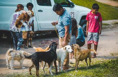 Sine Municipal recebe doação de rações para cães e gatos
