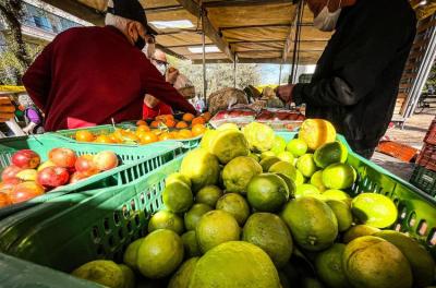 feira 