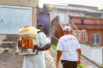 Casos de dengue 2022