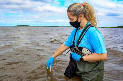 Quatro pontos da zona Sul têm águas próprias para banho