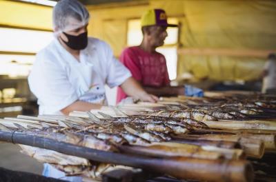 peixe na taquara 