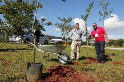 Plantas nativas foram plantadas para compensação de CO2