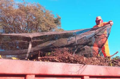 DMLU retira 90 toneladas de resíduos em limpeza na Estrada da Ponta Grossa