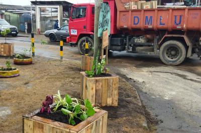 DMLU faz plantio em frente à escola no Campo da Tuca