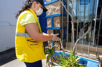 Vigilância em Saúde ajusta distribuição de armadilhas de monitoramento de Aedes aegypti