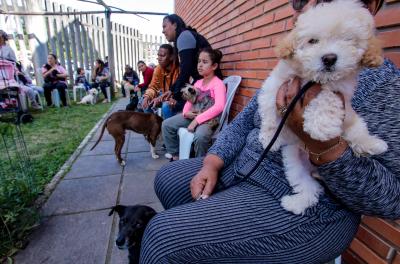 Prefeitura realiza cadastro para castração de animais na Zona Leste