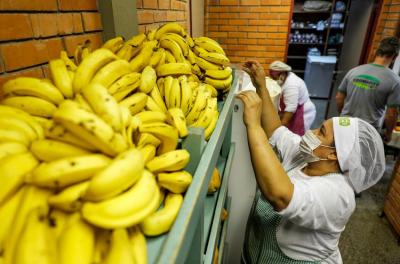 plano municipal segurança alimentar