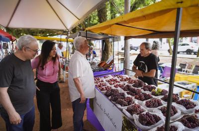 Festa da Uva e Ameixa oferece frutas direto do produtor para o consumidor