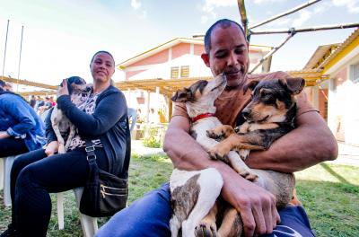 Tutores devem encaminhar cães e gatos para receberem o serviço especializado 