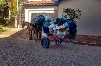 Cavalos