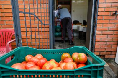 Programa de Aquisição de Alimentos estimula a agricultura familiar