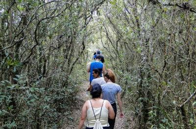 Reversa do Lami volta a receber visitantes em trilhas guiadas