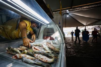 Feira do Peixe