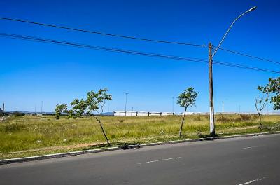 Leilão com imóveis na região do Porto Seco acontece nesta sexta-feira