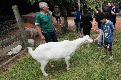 Homologada a entidade que executará recenseamento e sanidade animal