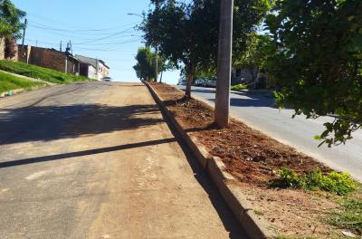 DMLU retirou 180 toneladas de terra em serviço no Campo Novo