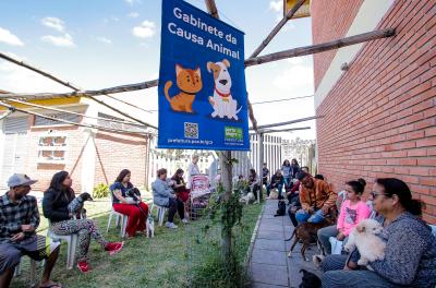 Prefeitura abre novo cadastro para castração de animais pelo 156