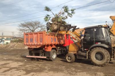 DMLU fará limpeza em comunidade do Sarandi neste domingo