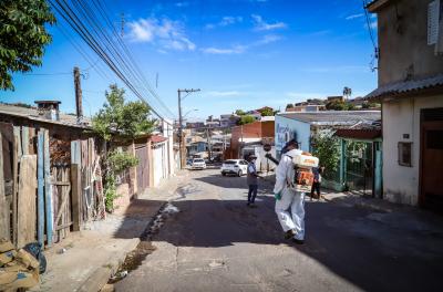 Casos confirmados de dengue em Porto Alegre chegam a 1.878 no ano