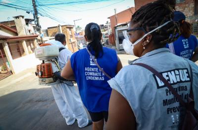 Porto Alegre tem 2.687 casos de dengue confirmados no ano