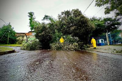 Equipes permanecem mobilizadas no atendimento ao temporal em Porto Alegre