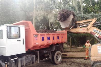 DMLU retira 258 toneladas de resíduos em limpeza na Orla do Lami
