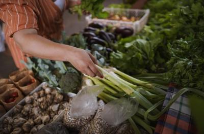 feira ecológica 