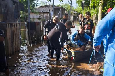 Prefeitura resgata animais na Região das Ilhas