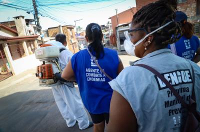 Capital registra 4.885 casos confirmados de dengue este ano