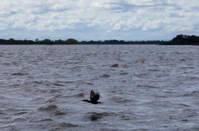 Lago Guaíba 