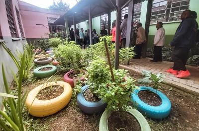 Cras Centro implanta horta comunitária 