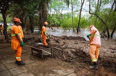 DMLU retira 126 toneladas de junco da orla do Lami no domingo