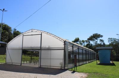 Viveiro municipal volta a produzir mudas nativas para plantio em Porto Alegre