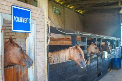 abrigo de cavalos da EPTC