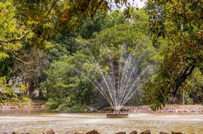 lago do parcão revitalizado